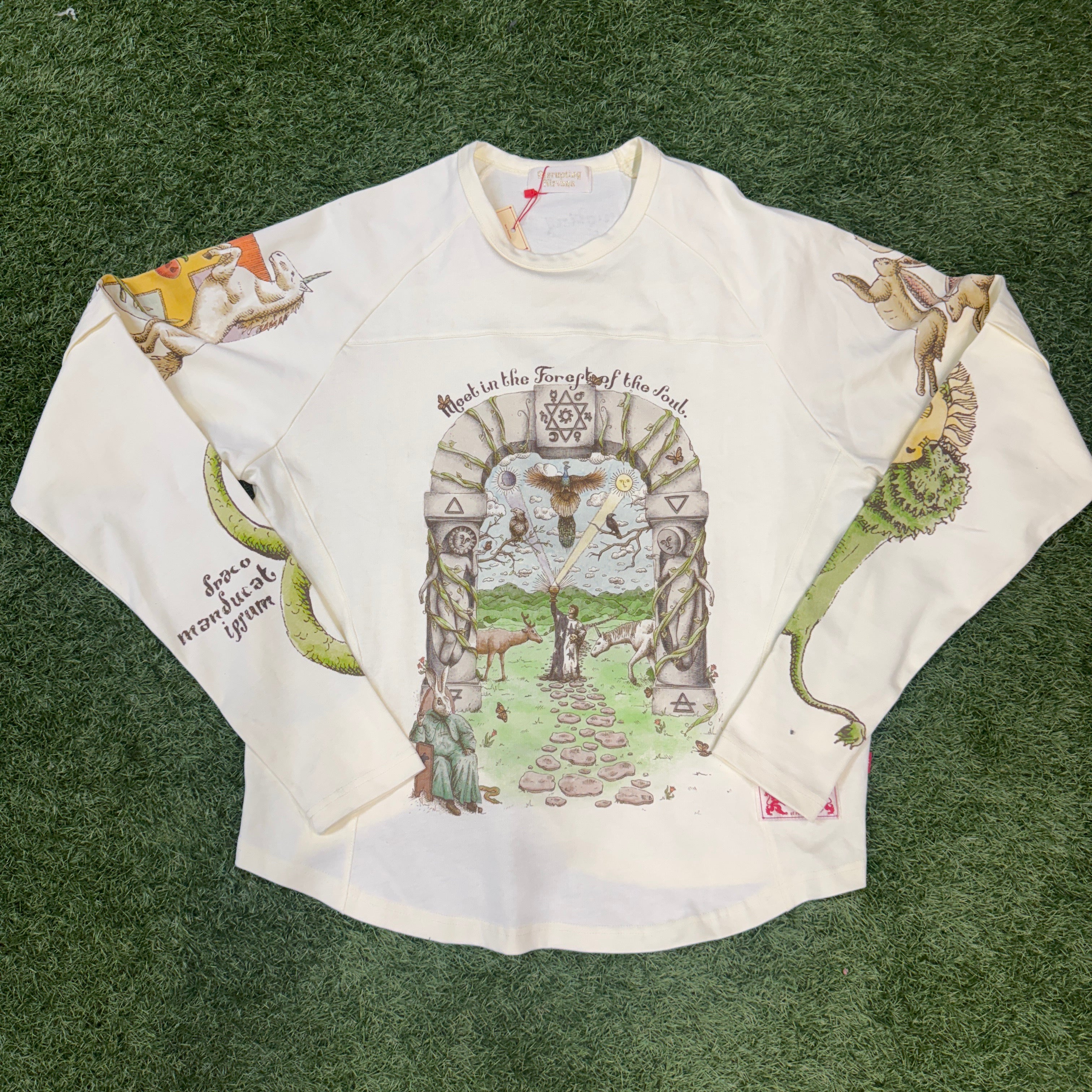 Disturbing Nirvana L/S T-Shirt