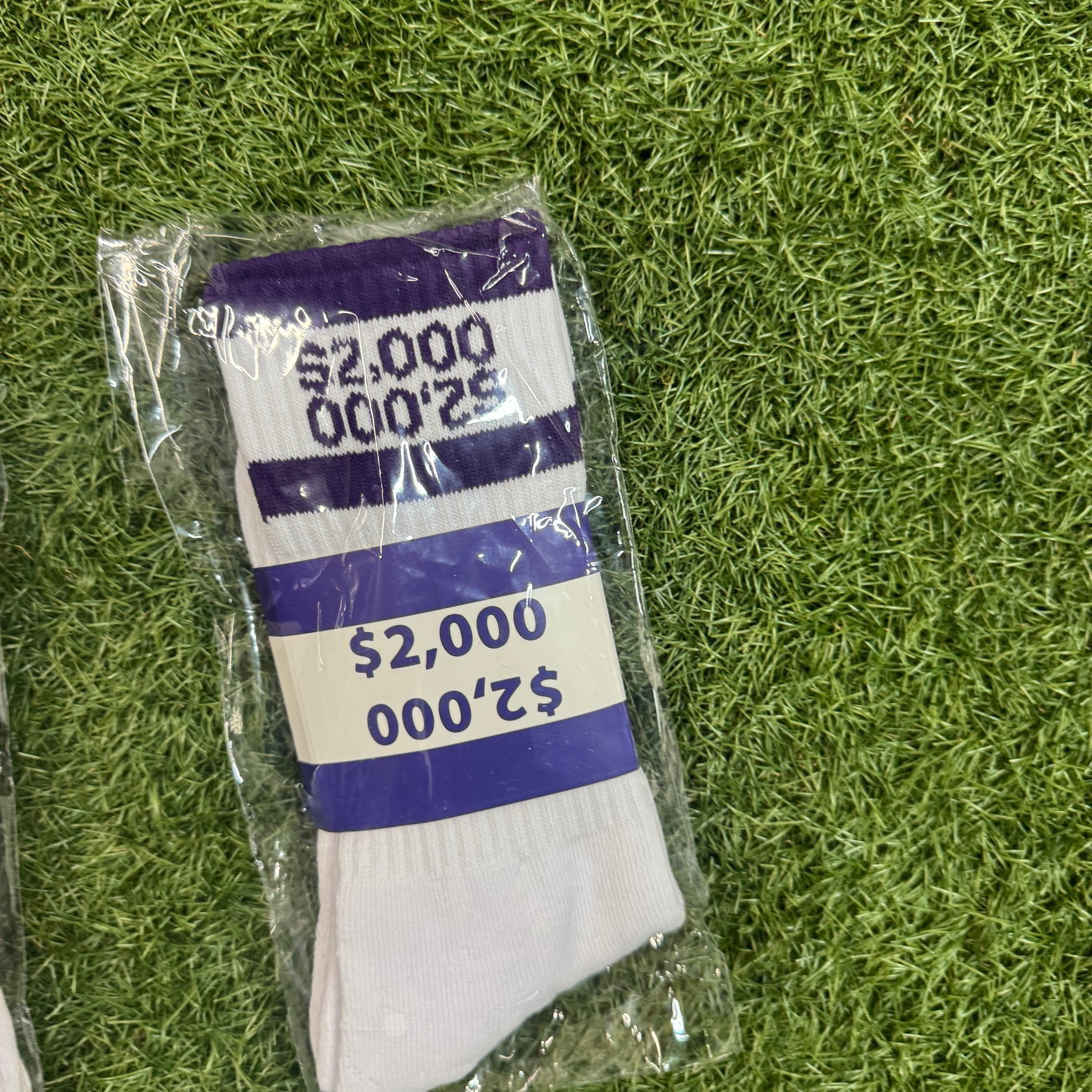 Argent USD Socks